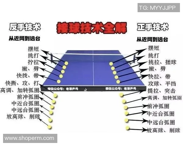 从零起步掌握乒乓球心理素质的全面提升与实战技巧解析
