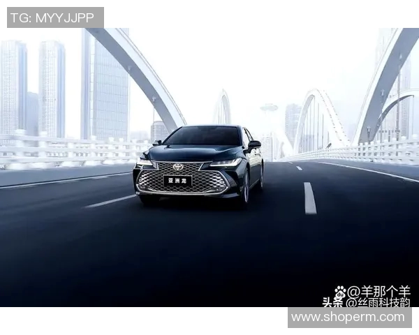 北京网球队在洲际杯积分榜中以78分稳居第一名展现强劲实力