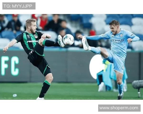 墨尔本篮球与足球明星阵容全解析及其成就回顾