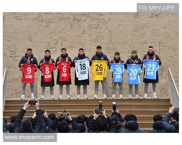 成就最高足球明星的秘诀与奋斗历程揭秘