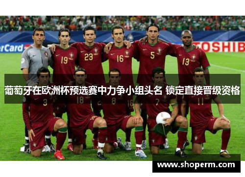 葡萄牙在欧洲杯预选赛中力争小组头名 锁定直接晋级资格
