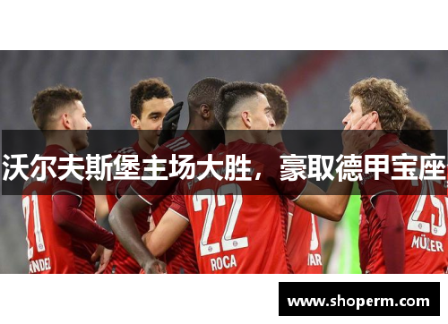 沃尔夫斯堡主场大胜，豪取德甲宝座