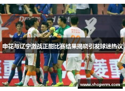 申花与辽宁激战正酣比赛结果揭晓引发球迷热议