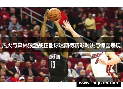 热火与森林狼激战正酣球迷期待精彩对决与惊喜表现